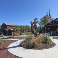 Wildcat Creek Resort