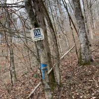 East Tennessee Recreational  Hunting Land Claiborne County