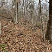 East Tennessee Recreational  Hunting Land Claiborne County images 2