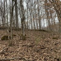 East Tennessee Recreational  Hunting Land Claiborne County images 3