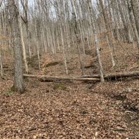 East Tennessee Recreational  Hunting Land Claiborne County images 5