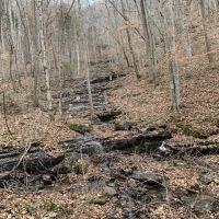 East Tennessee Recreational  Hunting Land Claiborne County images 6