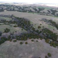 Kenning Farm &nbsp; Ranch images 2