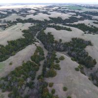 Kenning Farm &nbsp; Ranch images 3