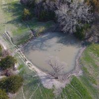 Kenning Farm &nbsp; Ranch images 4