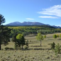 Broken Wagon Ranch