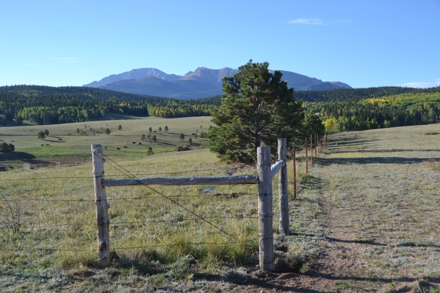 Broken Wagon Ranch Hunting Land for Sale