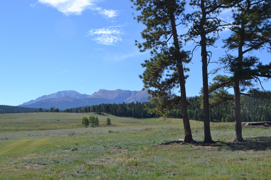 Broken Wagon Ranch Hunting Land for Sale