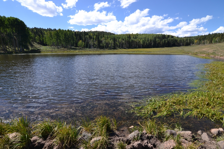 Broken Wagon Ranch Hunting Land for Sale