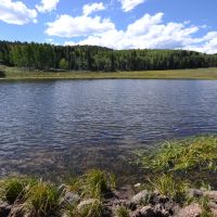 Broken Wagon Ranch images 6
