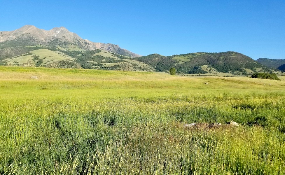 Six Mile Ranch featured image