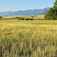 Six Mile Ranch images 5