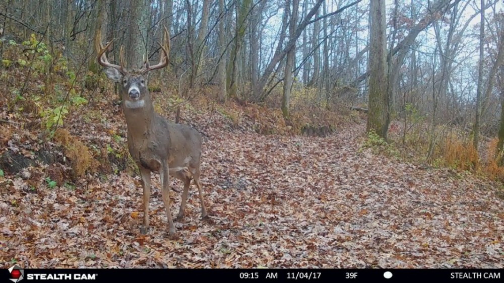 Remarkable Recreational Property For Sale in Southwestern Wisconsin featured image