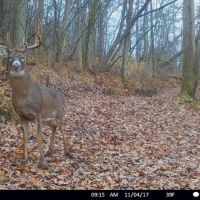 Remarkable Recreational Property For Sale in Southwestern Wisconsin