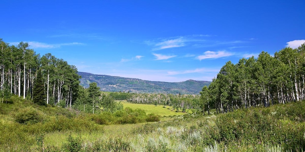 Ranger Station featured image