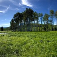 Ranger Station images 2