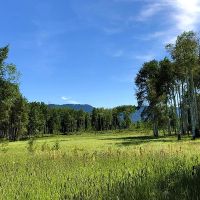 Ranger Station images 4