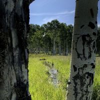 Ranger Station images 5