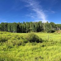 Ranger Station images 6