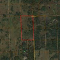 80 Acres of Wood County Hunting Land
