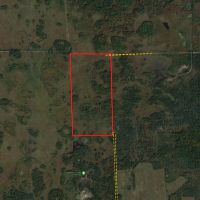 80 Acres of Wood County Hunting Land images 2