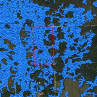 80 Acres of Wood County Hunting Land images 3