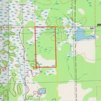 80 Acres of Wood County Hunting Land images 4