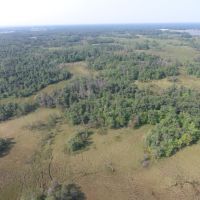 80 Acres of Wood County Hunting Land images 5