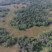 80 Acres of Wood County Hunting Land images 6
