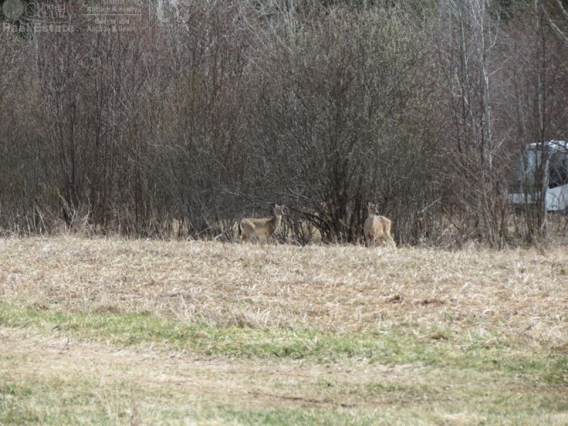 Price County WI Hunting land for Sale featured image