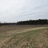 Price County WI Hunting land for Sale images 3