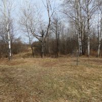 Price County WI Hunting land for Sale images 6