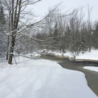 170 Acres Riverfront Property with Cabin Clinton County NY images 2