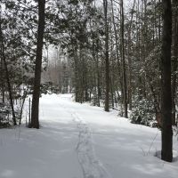 170 Acres Riverfront Property with Cabin Clinton County NY images 3