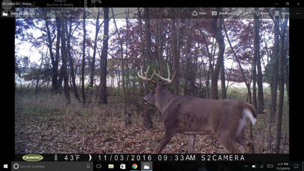 80 Acres of Quality Columbia County Hunting Land featured image
