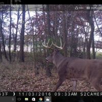 80 Acres of Quality Columbia County Hunting Land