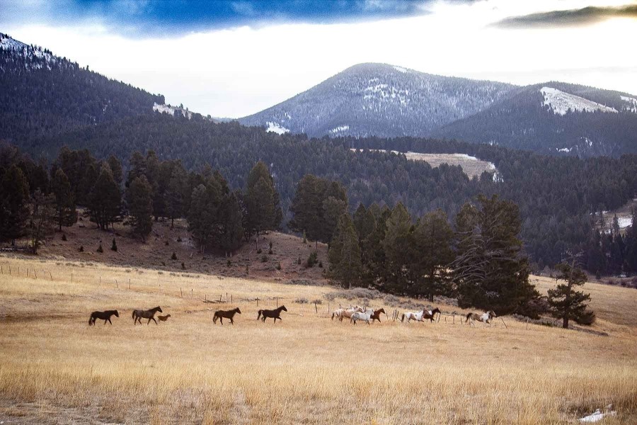 Bear Mountain Ranch featured image