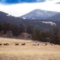Bear Mountain Ranch