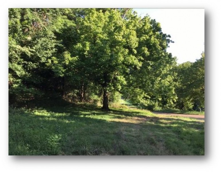 158 Acres in Warren County in Vicksburg  MS featured image