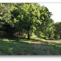158 Acres in Warren County in Vicksburg  MS