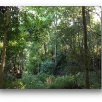 158 Acres in Warren County in Vicksburg  MS images 2
