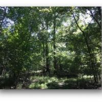 158 Acres in Warren County in Vicksburg  MS images 3