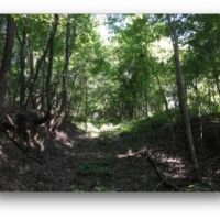 158 Acres in Warren County in Vicksburg  MS images 5