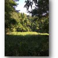 158 Acres in Warren County in Vicksburg  MS images 6
