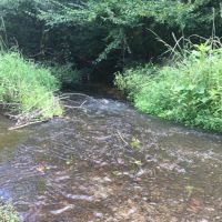 306 acre- Timber Inv.&nbsp;  Hunting images 2