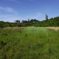 100 Acres in Marion County in Foxworth  MS