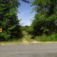 100 Acres in Marion County in Foxworth  MS images 4