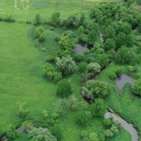 Quality Hunting Property with Creek Frontage Sauk County WI images 4