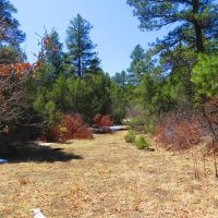 B46 Santa Fe Trail Ranch images 4