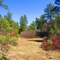 B46 Santa Fe Trail Ranch images 5